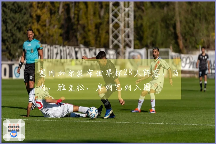 塞内加尔发布世界杯28人阵容，马内、雅克松、库利巴利入围